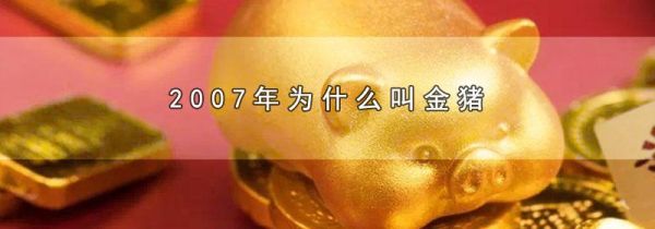 2007年为什么叫金猪