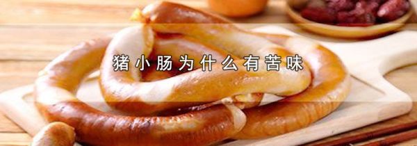 猪小肠为什么有苦味