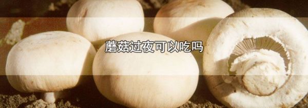 蘑菇过夜可以吃吗