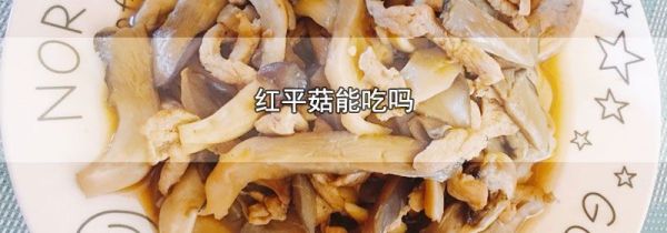 红平菇能吃吗