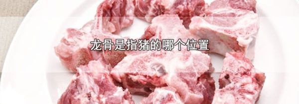 龙骨是指猪的哪个位置