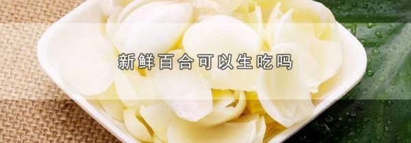 新鲜百合可以生吃吗