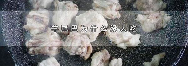 羊尾巴为什么没人吃