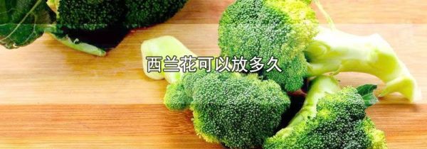 西兰花可以放多久