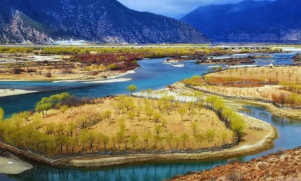 大型社死现场是什么意思