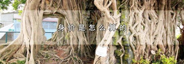 身价是怎么算的