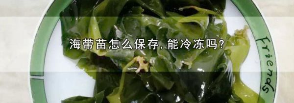海带苗怎么保存,能冷冻吗?