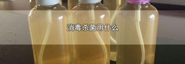 消毒杀菌用什么