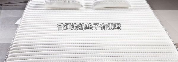 普通海绵垫子有毒吗