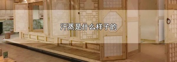 汗蒸是什么样子的