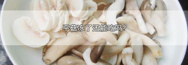 平菇冻了还能吃吗?