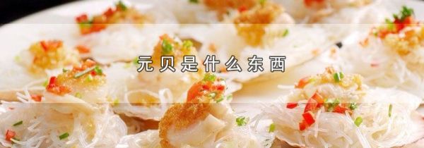 元贝是什么东西