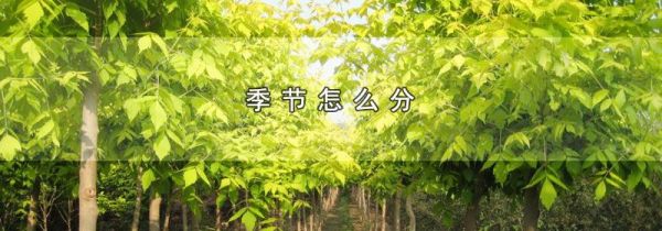 季节怎么分