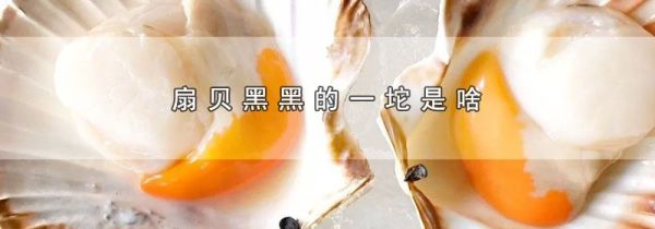 扇贝黑黑的一坨是啥