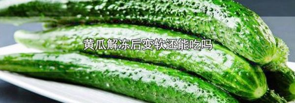 黄瓜解冻后变软还能吃吗
