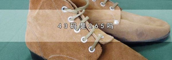 43码是265吗