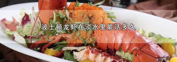 波士顿龙虾在淡水里能活多久
