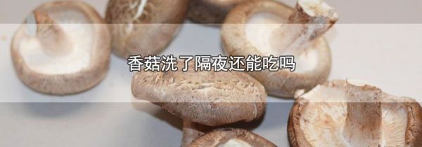香菇洗了隔夜还能吃吗