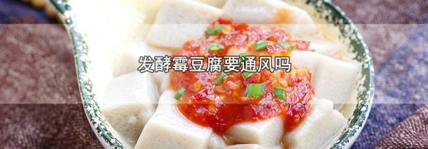 发酵霉豆腐要通风吗