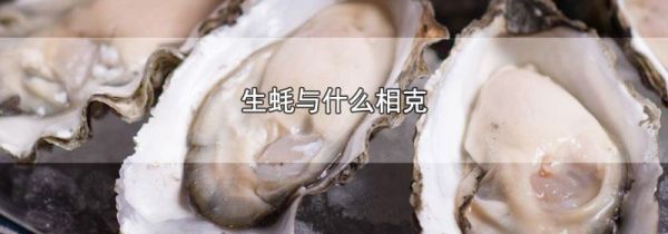 生蚝与什么相克