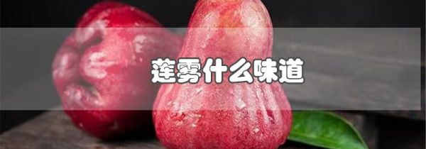 莲雾什么味道