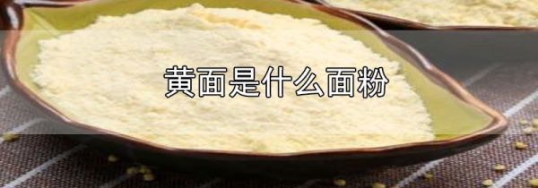 黄面是什么面粉