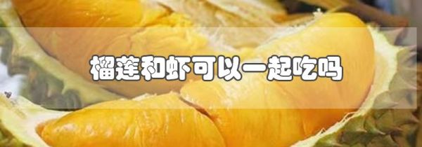 榴莲和虾可以一起吃吗