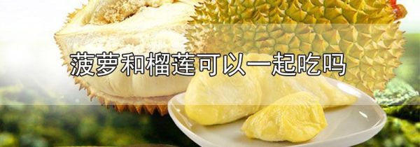 菠萝和榴莲可以一起吃吗