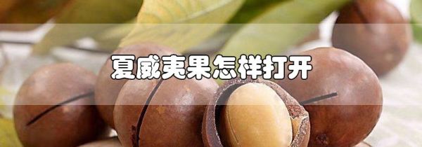 夏威夷果怎样打开