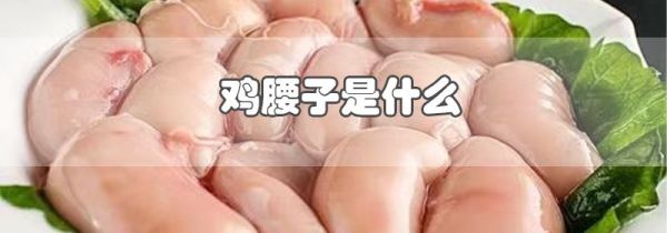 鸡腰子是什么