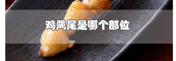 鸡凤尾是哪个部位
