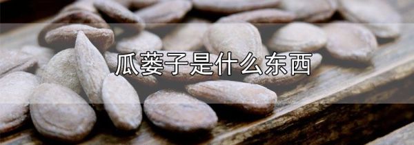 瓜蒌子是什么东西