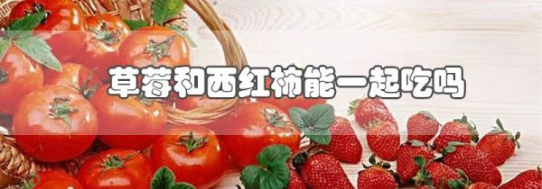 草莓和西红柿能一起吃吗