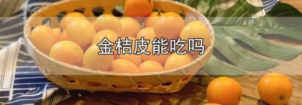 金桔皮能吃吗