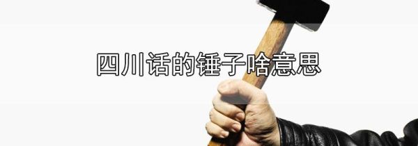 四川话的锤子啥意思