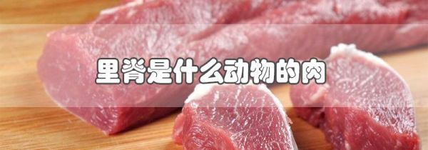 里脊是什么动物的肉