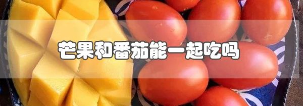 芒果和番茄能一起吃吗