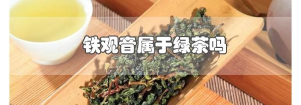铁观音属于绿茶吗