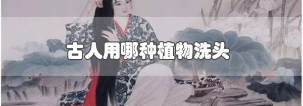 古人用哪种植物洗头