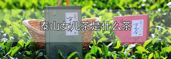 泰山女儿茶是什么茶