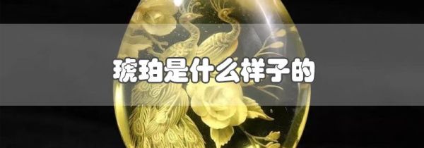 琥珀是什么样子的