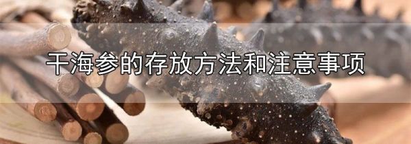 干海参的存放方法和注意事项