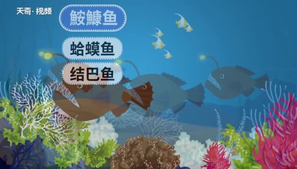 老头鱼学名叫什么 吃老头鱼好吗