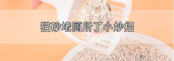 猫砂堵厕所了小妙招