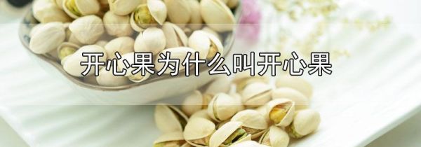 开心果为什么叫开心果