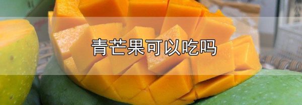青芒果可以吃吗