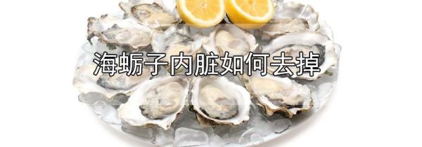 海蛎子内脏如何去掉