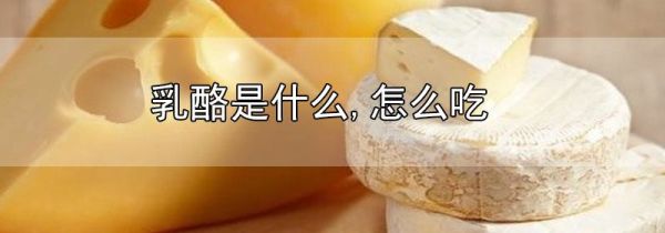 乳酪是什么,怎么吃
