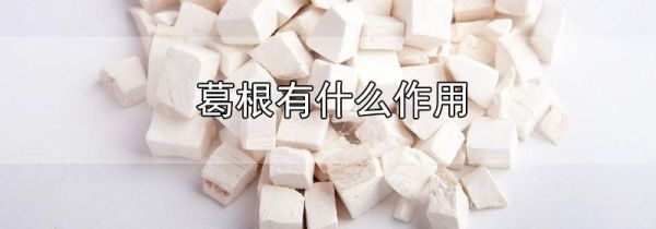 葛根有什么作用