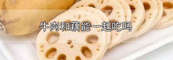 牛肉和藕能一起吃吗